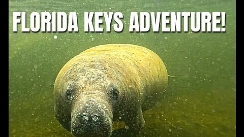 Discovering the Florida Keys! Viva Family Travel Vlog
