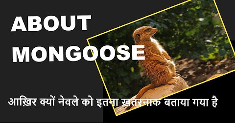 Interesting facts about mongoose