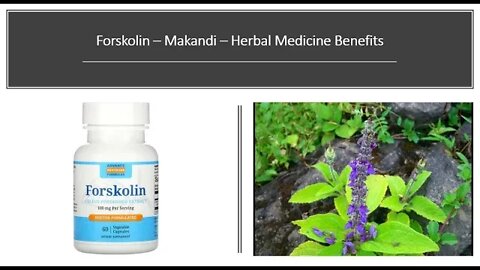 Forskolin - Herbal Medicine Benefits - Coleus Forskohlii