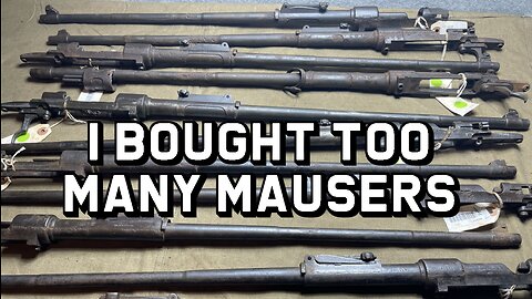 I Bought Too Many Mausers