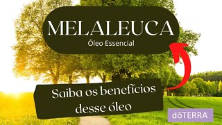 MELALEUCA ÓLEO ESSENCIAL dōTERRA - ESSENTIAL OILS MELALEUCA