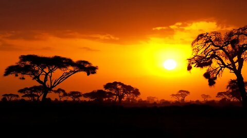 Relaxing African Music - African Sunset | Sleep, Soothing, Peaceful ★95