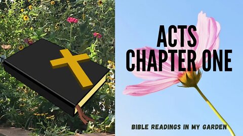 Acts Chapter 1 | NRSV Bible