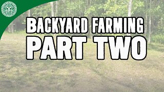 Backyard Farming - Part Two