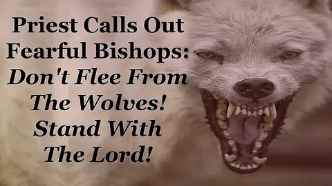 Priest Calls Out Fearful Bishops: Don't Flee From The Wolves! Stand With The Lord!