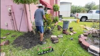 Front Yard Clean Up and Planting Seeds & Flowers