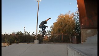 Skateboard basics - pop shove-it