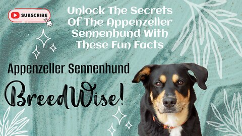 Discovering the Swiss Alps’ Gem: The Appenzeller Sennenhund