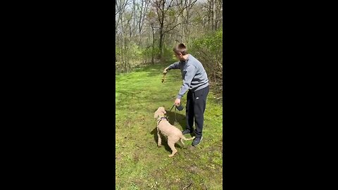 Saving Girlfriend From Violent Squirrel Attack