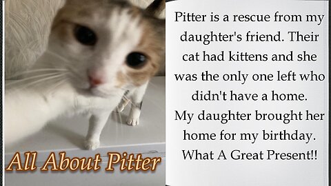 All About Pitter