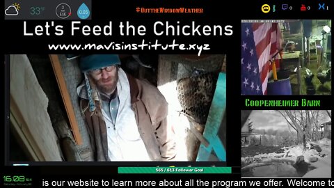 Community Building, How to Stop inhouse Fighting : Let's Feed the Chickens : EP 49 :