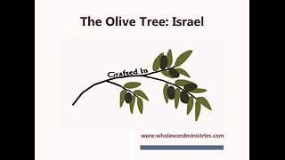 The Olive Tree: Israel