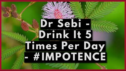 DR SEBI - DRINK IT 5 TIMES PER DAY - IMPOTENCE #men #erectiledysfunction