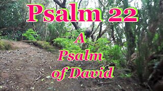 Psalm 22~ A Psalm of David