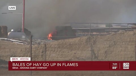 Bales of hay go up in flames at Mesa dairy farm