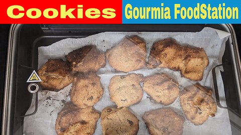 Oat Black Walnut Chocolate Chip Cookies, Gourmia FoodStation