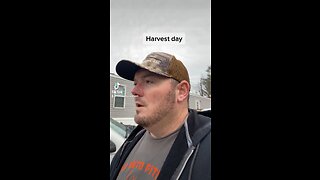 harvest day