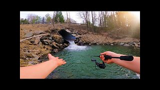 This Roadside Culvert Is A Brook Trout Goldmine!