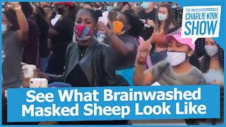 See What Brainwashed Masked Sheep Look Like