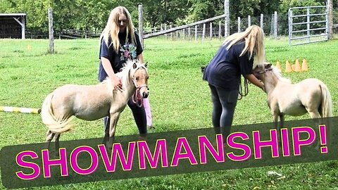 What Happened To Chance And Our Babies Shocking First Attempt At Showmanship!