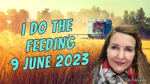 I DO THE FEEDING /9 June 2023