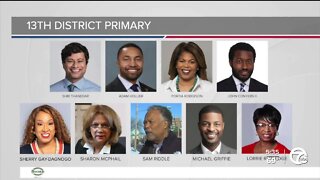 Several key Democratic primary races for Congress happening in metro Detroit