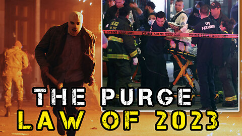 The Purge Law Of Chicago Illinois (2023)