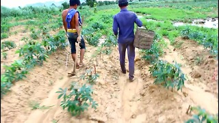 Catch eels under the mud in Cambodia