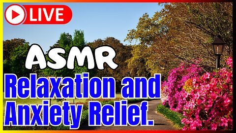 🔴 LIVE 🌱 Live for nature lovers 💗 🌱 ASMR and Relaxation 🌿 #asmr #rain #nature