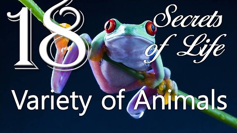 The Variety of Animals... The Creator elucidates ❤️ Secrets of Life revealed thru Gottfried Mayerhofer