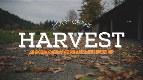 Heart of the Harvest: Pomeroy Farm’s Pumpkin Lane