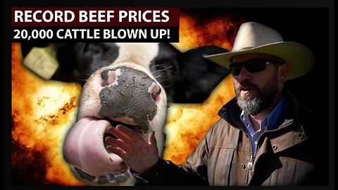 BURNED ALIVE 20,000 HEAD OF CATTLE! Beef Prices Skyrocketing!!