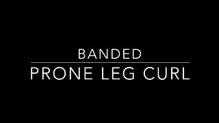 🏋️‍♂️ HOW TO Banded Prone Leg Curl | Coach Joel | RLC