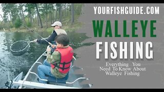 How To Fish For Walleye ~ WATCH BEFORE FISHING FOR WALLEYE