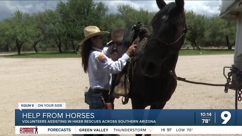 Horses, mules assisting law enforcement in searches and rescues