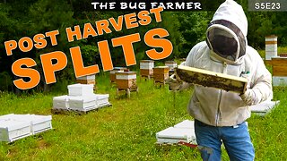 Post-Harvest Splits | creating Next Years Production Colonies