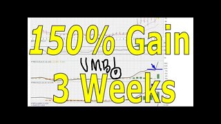 150% Gain In Three Weeks - #1411