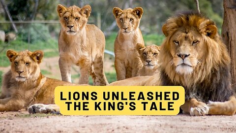 Lions Unleashed: The King's Tale