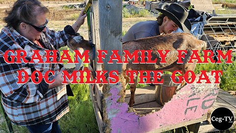 Graham Family Farm: Doc Milks the Goat
