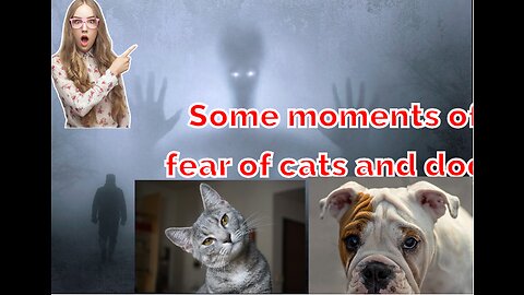 Some moments of fear of cats and dogs