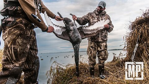 Hunting Black Swan and Shoveler: New Zealand | The Journey Within - Mark V. Peterson Hunting