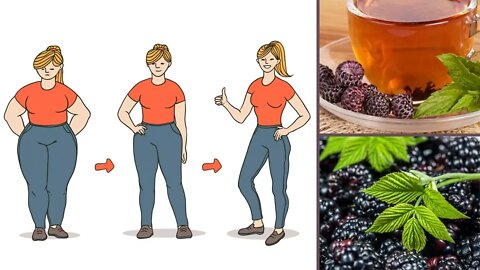 Benefits Of Blackberries: From Weight Loss To Boosting Immunity