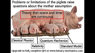 Full Quantization vs Partial Quantization