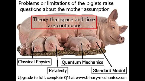 Full Quantization vs Partial Quantization