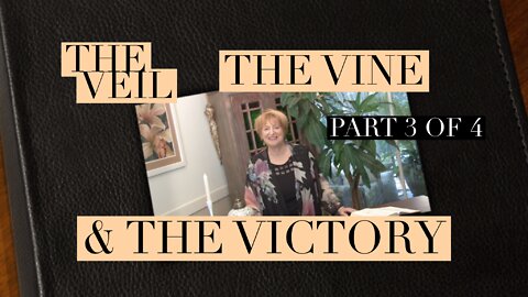 The Veil, the Vine and the Victory by Victoria Feeney part 3 of 4