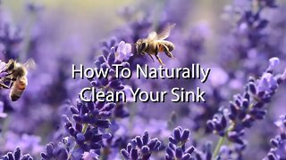 Clean Your Sink