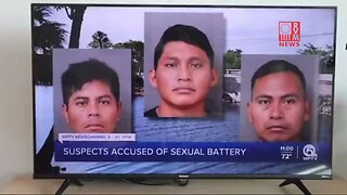 Enormous Spike In Sex Crimes Against Kids By Illegal Aliens - Martin County Sheriff