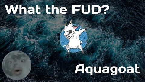 What is Aquagoat? Aquagoat.finance explained! | What the FUD Episode 5