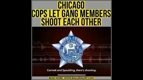 Gang members shooting at each other in Chicago … Police : “Let them do it”