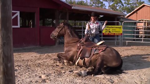 Palm Beach County woman places second in national mustang competition